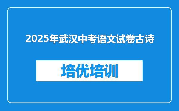 2025年武汉中考语文试卷古诗