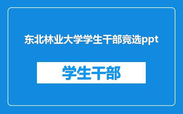 东北林业大学学生干部竞选ppt