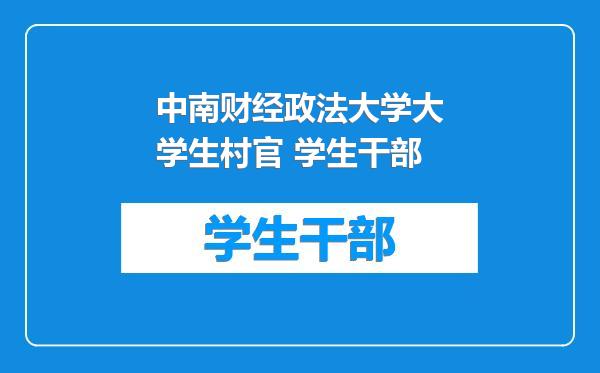 中南财经政法大学大学生村官 学生干部