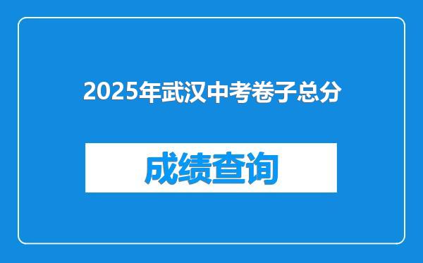2025年武汉中考卷子总分