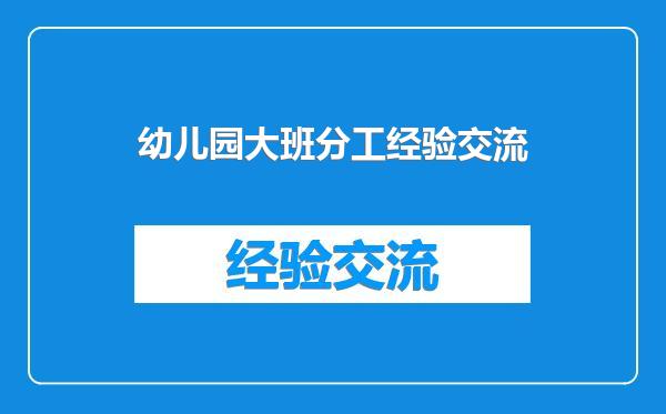幼儿园大班分工经验交流