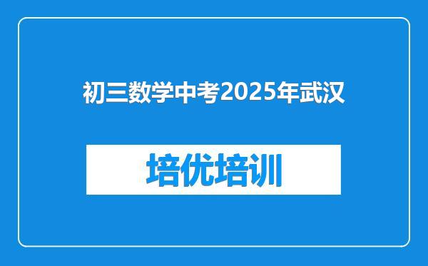 初三数学中考2025年武汉