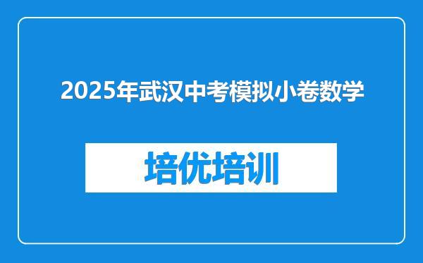 2025年武汉中考模拟小卷数学
