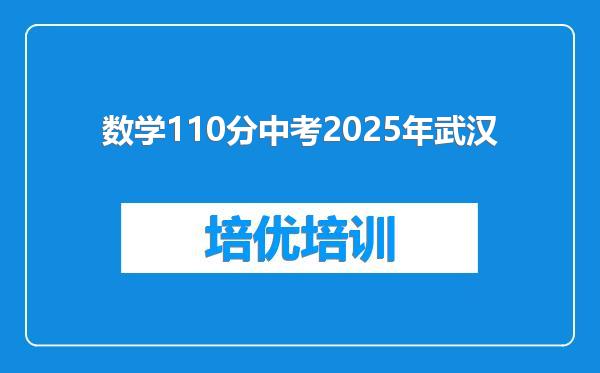 数学110分中考2025年武汉