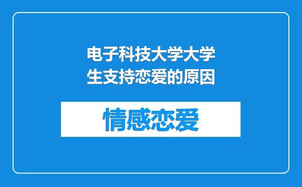 电子科技大学大学生支持恋爱的原因
