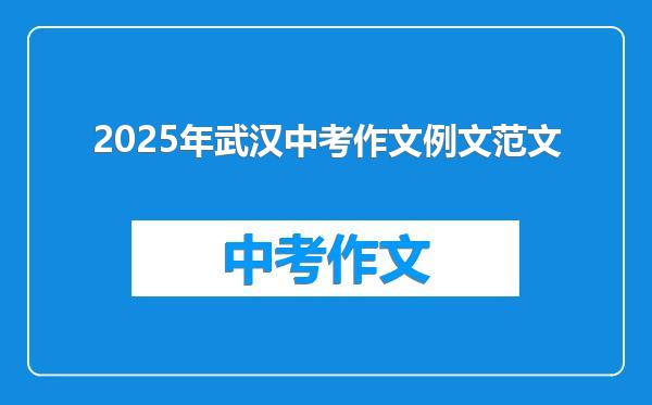 2025年武汉中考作文例文范文