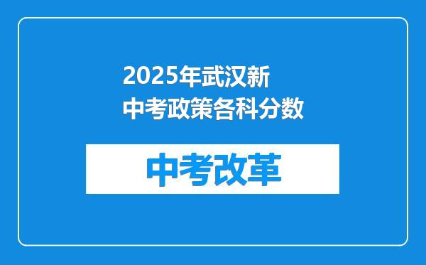 2025年武汉新中考政策各科分数