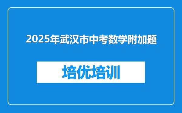 2025年武汉市中考数学附加题