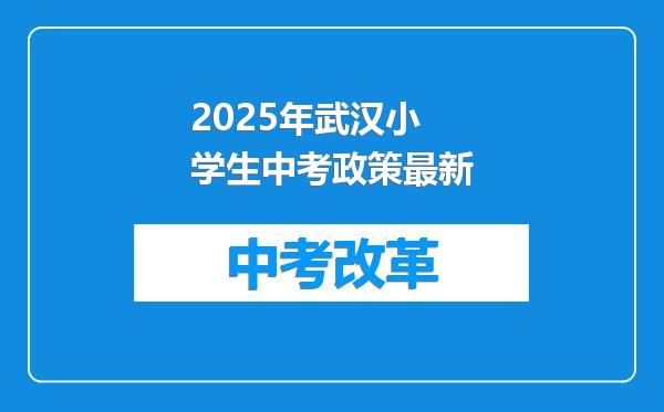 2025年武汉小学生中考政策最新