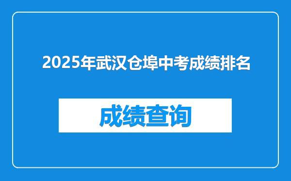 2025年武汉仓埠中考成绩排名
