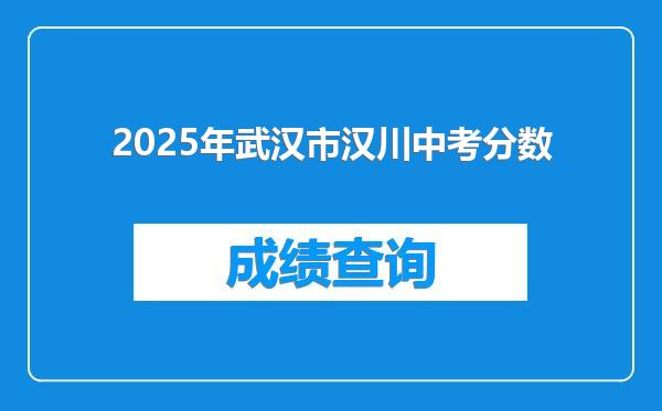 2025年武汉市汉川中考分数