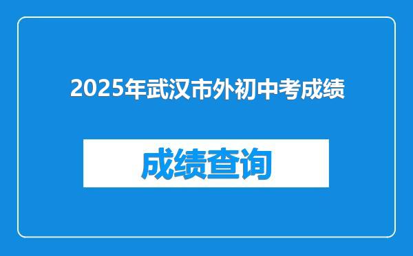 2025年武汉市外初中考成绩