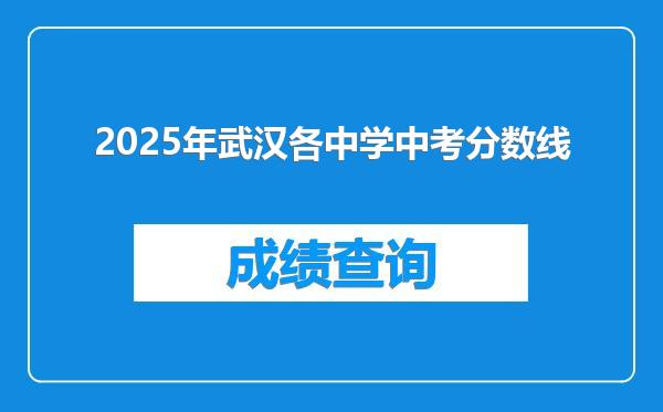 2025年武汉各中学中考分数线