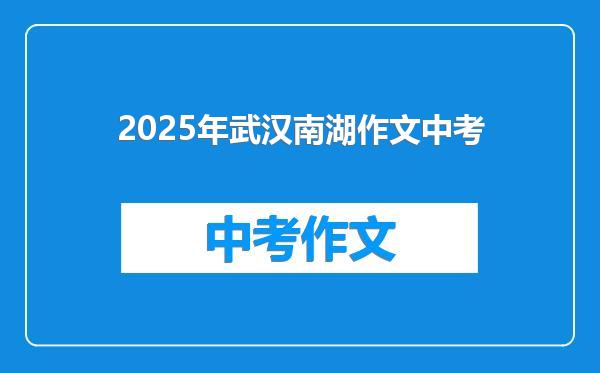 2025年武汉南湖作文中考