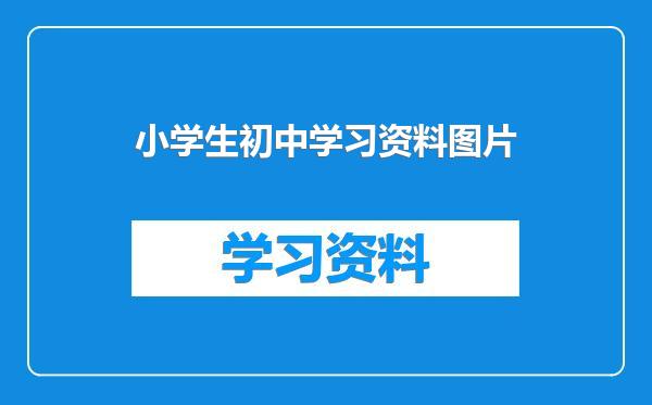 小学生初中学习资料图片
