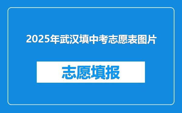 2025年武汉填中考志愿表图片