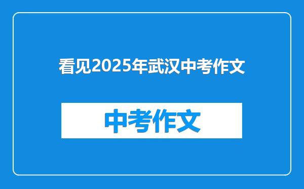 看见2025年武汉中考作文