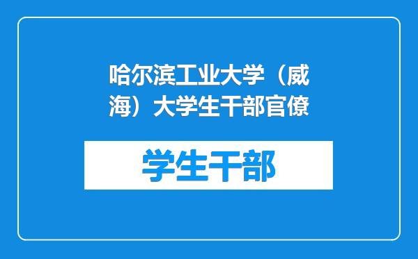 哈尔滨工业大学（威海）大学生干部官僚