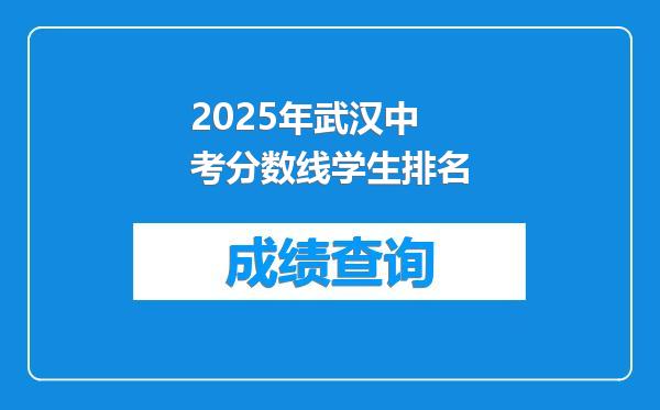 2025年武汉中考分数线学生排名