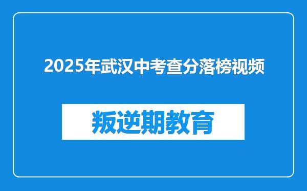 2025年武汉中考查分落榜视频