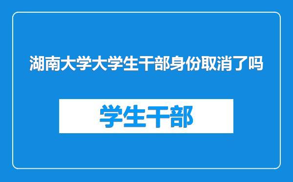湖南大学大学生干部身份取消了吗