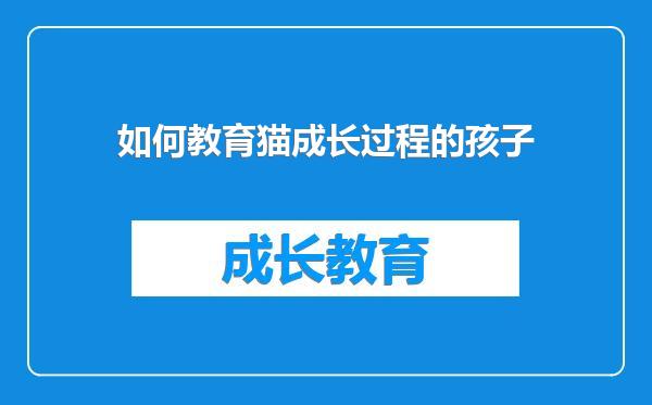 如何教育猫成长过程的孩子