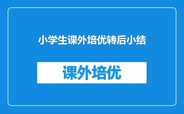 小学生课外培优转后小结