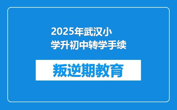2025年武汉小学升初中转学手续