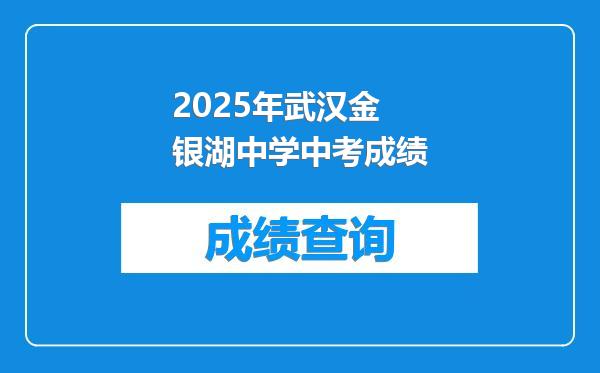 2025年武汉金银湖中学中考成绩