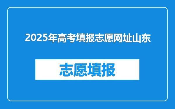 2025年高考填报志愿网址山东