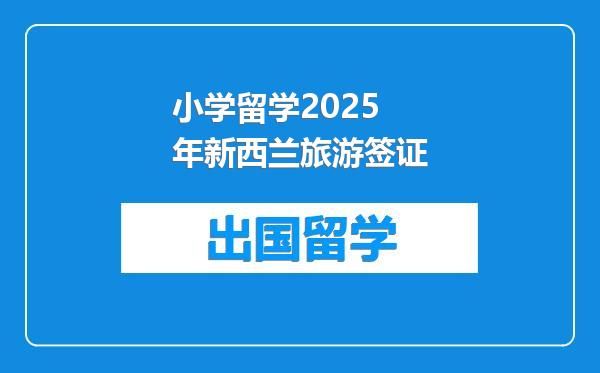 小学留学2025年新西兰旅游签证