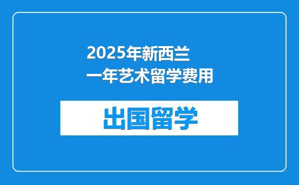 2025年新西兰一年艺术留学费用